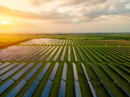 solar panel field in sunset